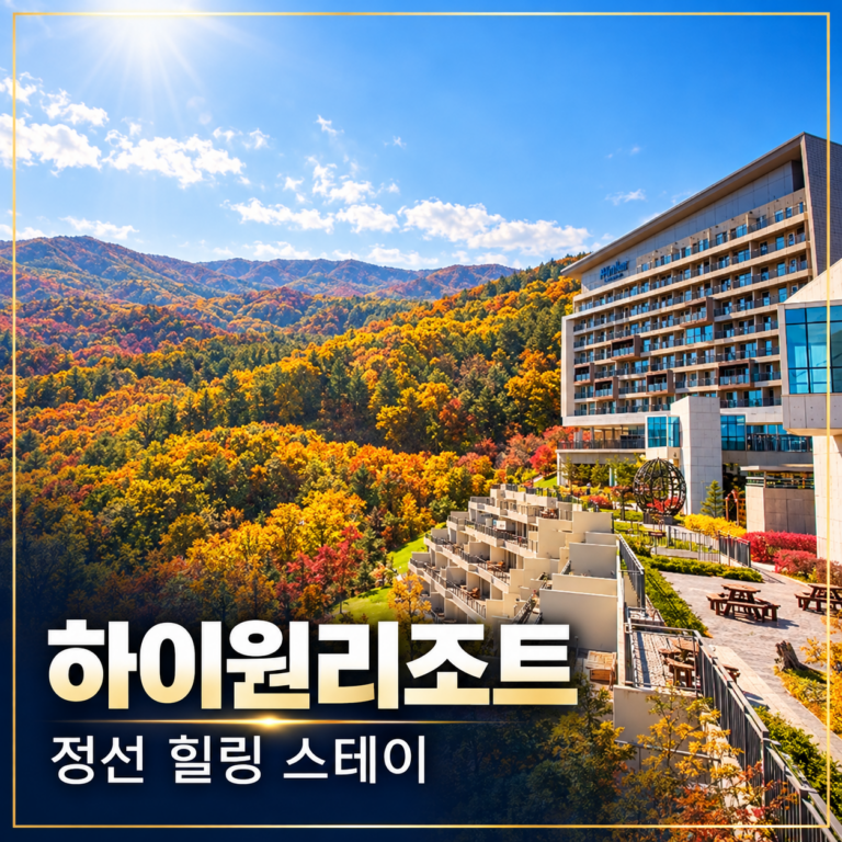 정선 하이원리조트 예약 가격·객실 후기｜워터월드와 조식까지 확인